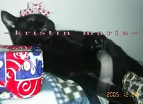 coco4.webp