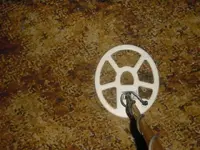 coil top.webp