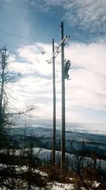 Pogo Moose Fairbanks Alaska.webp