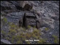 Ape Face Marker 02.webp