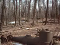 foundation in the background.webp