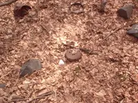 items on ground inside foundation.webp