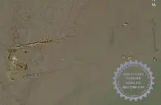 boat.webp