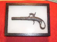 Gun in case.webp