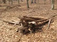 cabin.webp
