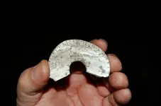 Feurt Site Finds (249).webp