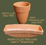 hertycup.webp