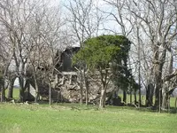 IMG_0418.webp