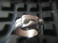 Sex Ring 002.webp
