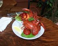 marroncooked.webp