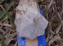 PaleoIndianScraper.jpg 001.webp
