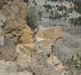 eaglehead.webp
