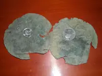 DSCN3202.webp