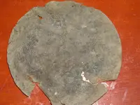 DSCN3204.webp