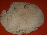 DSCN3205.webp