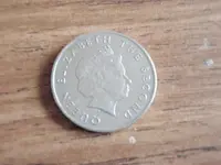 pocket find 002.webp