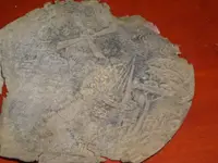 DSCN3206.webp
