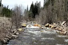 clearcreek1.webp