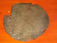 DSCN3208.webp