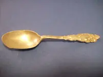 SilverSpoon - 1.webp SilverSpoon - 1.webp