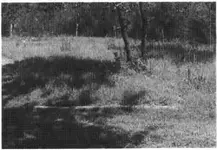 site.webp