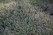 IMG_1928.webp