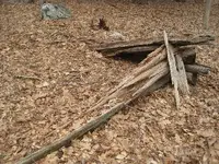 cabin 2.webp