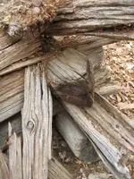 cabin 3.webp