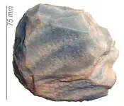 coraltool.webp