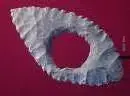 Clip_28.webp