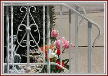 IMG_3514  railing flowers re.webp