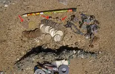 2 Gold RIng Hunt 1.webp