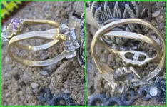2 Gold RIng Hunt 4.webp