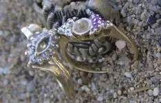 2 Gold RIng Hunt 5.webp