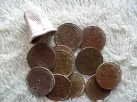 11 wheats.webp