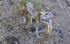 2 Gold RIng Hunt 6.webp