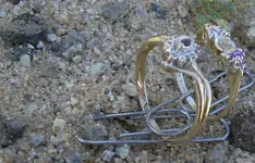 2 Gold RIng Hunt 7.webp