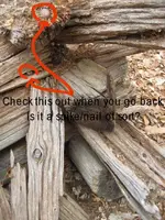 cabin.webp