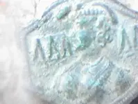 DSC00038.webp