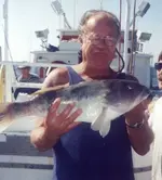 pops jackpot sandbass.webp