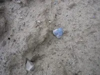 Picture 1946.webp