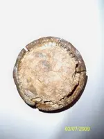 button field 006.webp