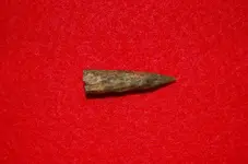Feurt Site Finds (220).webp