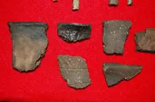 Feurt Site Finds (227).webp