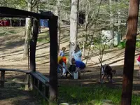 DSC00083.webp