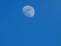 moon high in the sky.jpg