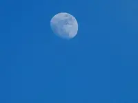 moon high in the sky.webp