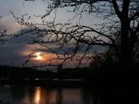 another sunset.webp