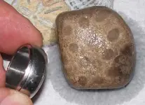 1st_coin2009bopt.webp