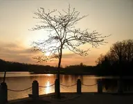 sepia sunset.webp